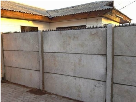 modelo punta de tiburon